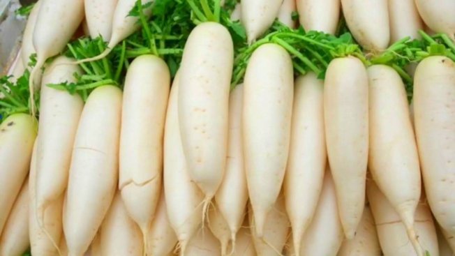 Белая морковка: описание, сорта, выращивание и польза